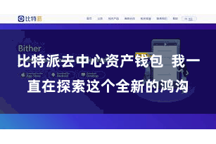 比特派去中心资产钱包 我一直在探索这个全新的鸿沟