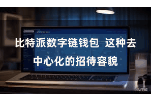比特派数字链钱包 这种去中心化的招待容貌