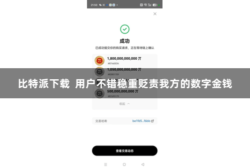 比特派下载  用户不错稳重贬责我方的数字金钱