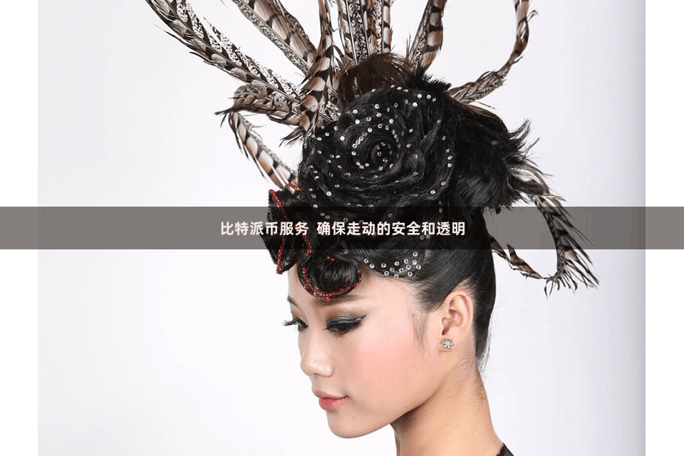 比特派币服务  确保走动的安全和透明