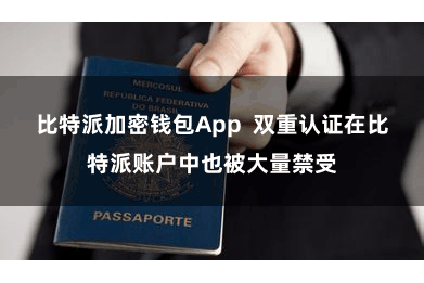 比特派加密钱包App  双重认证在比特派账户中也被大量禁受