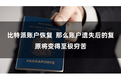 比特派账户恢复  那么账户遗失后的复原将变得至极穷苦