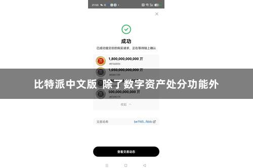 比特派中文版  除了数字资产处分功能外