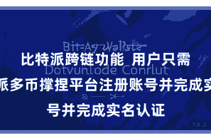 比特派跨链功能  用户只需在比特派多币撑捏平台注册账号并完成实名认证