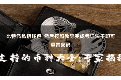 比特派私钥钱包  然后按照教导完成考证法子即可重置密码