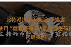 比特派钱包手机版  不错尝试使用“健忘密码”功能进行密码找回
